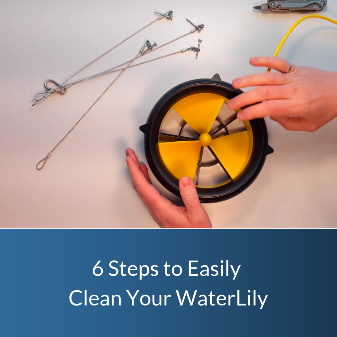 How to Clean Your WaterLily
